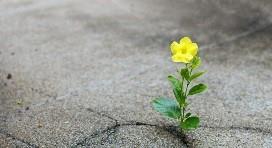 Persistence 
