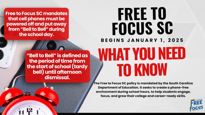  Free to Focus