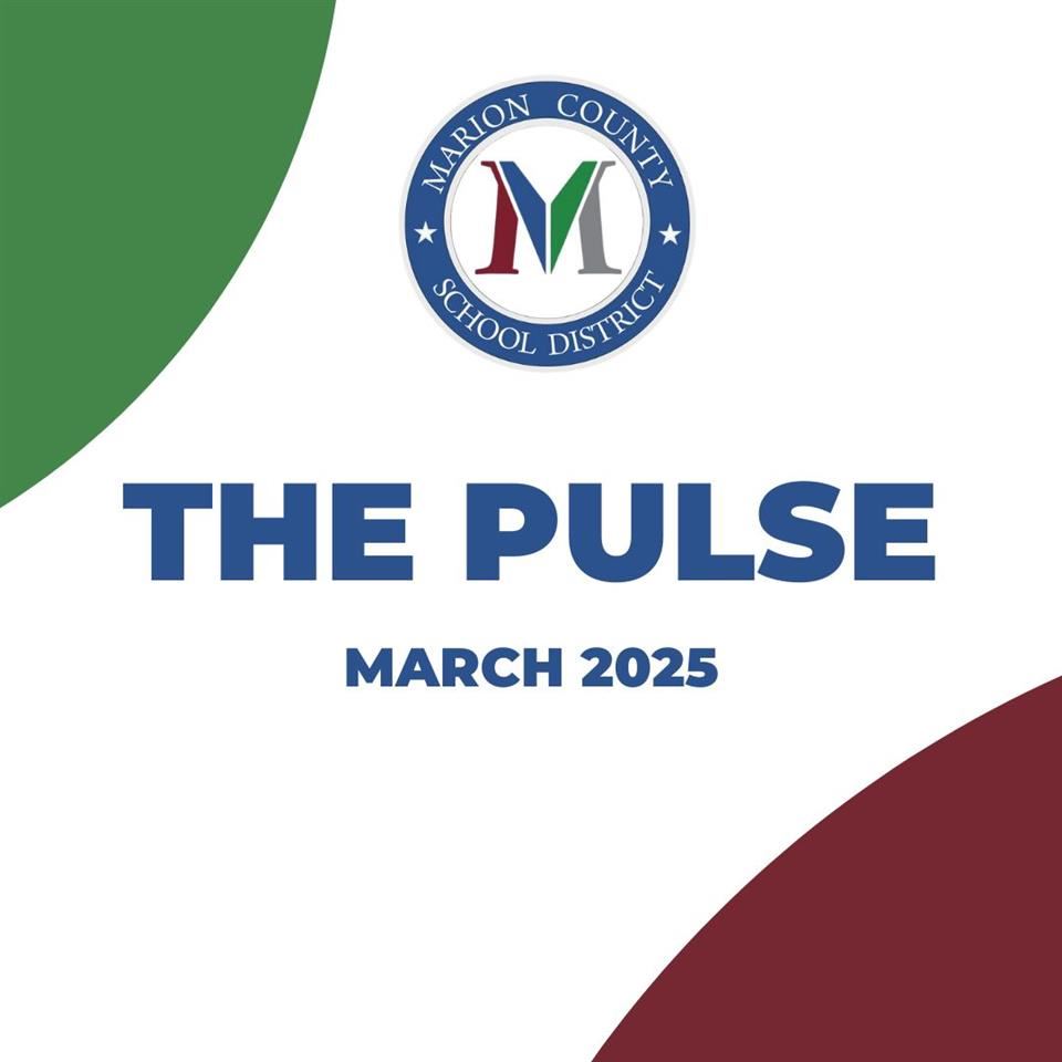  The Pulse