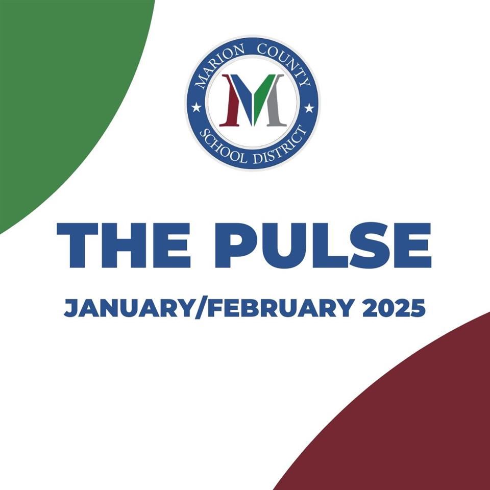  The Pulse